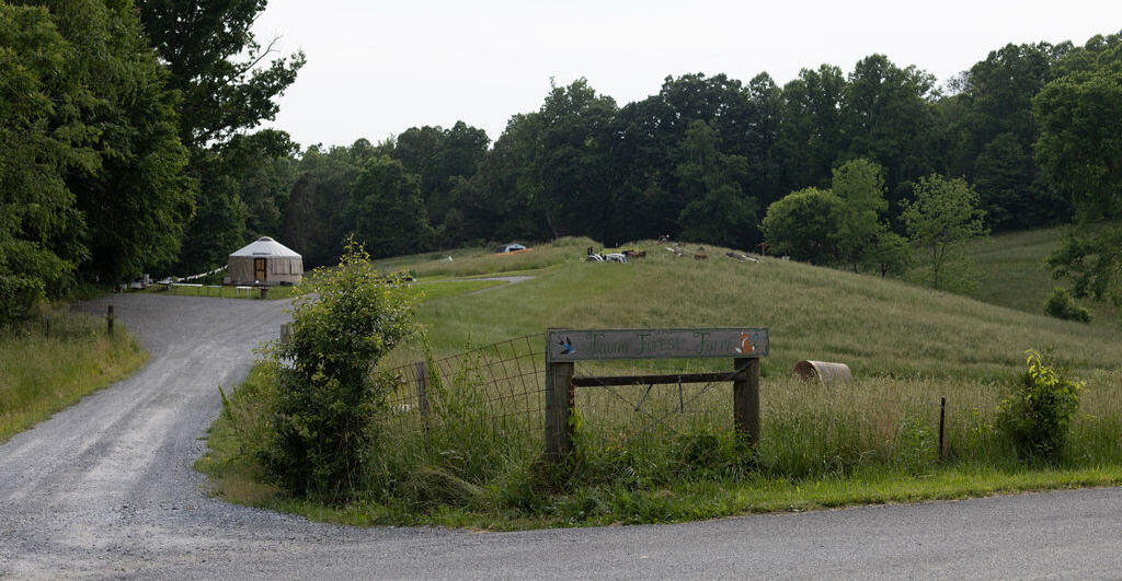 Fauna Forest Farm in Jonesborough Tennessee Fauna Forest Farm in Jonesborough Tennessee serving Johnson City and surrounding areas.